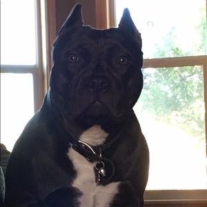 Meet your Posher, Joy